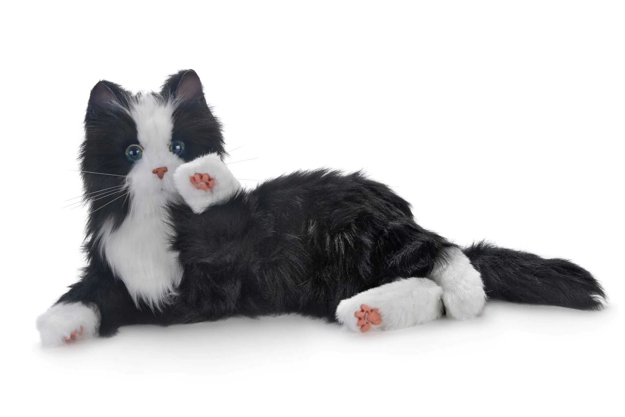 Black and white cat robotic companion pet