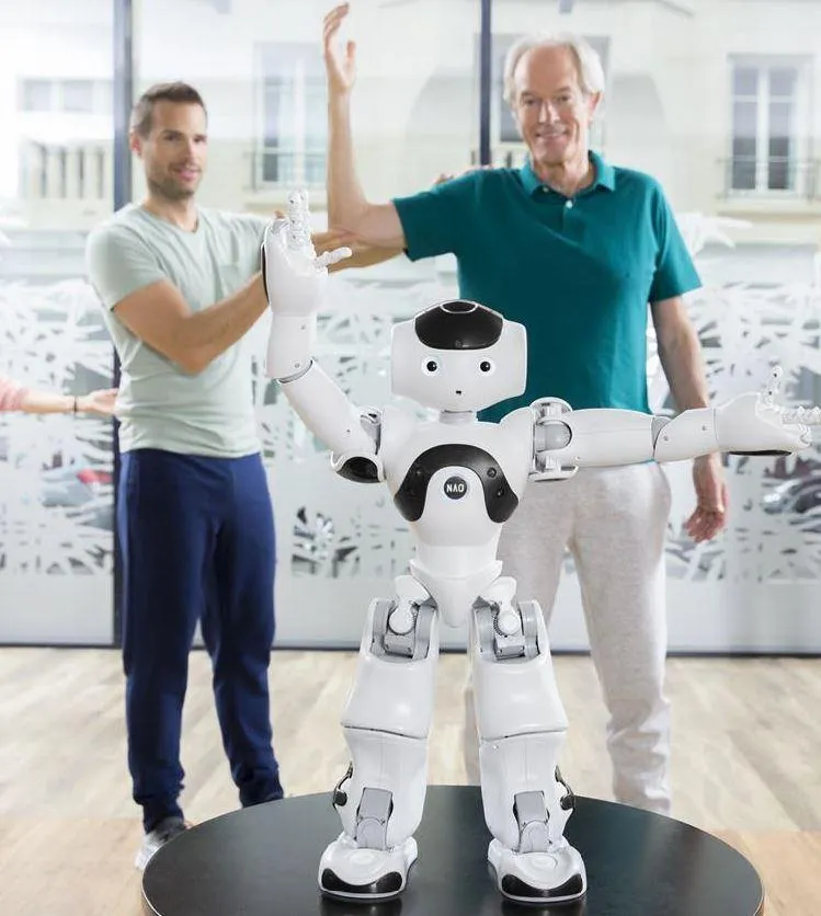 NAO V6