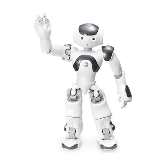 NAO V6