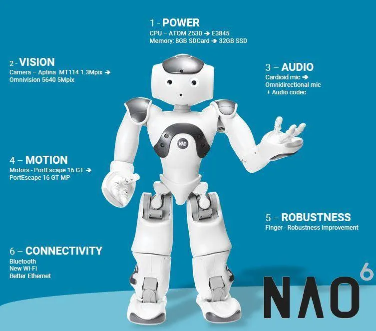 NAO V6